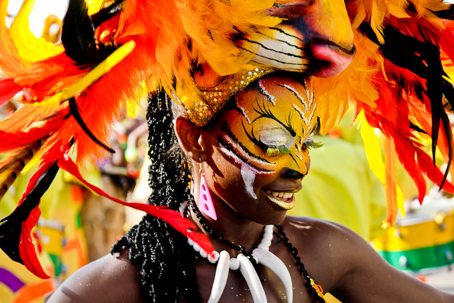 FREE Essay on Carnival Artistry